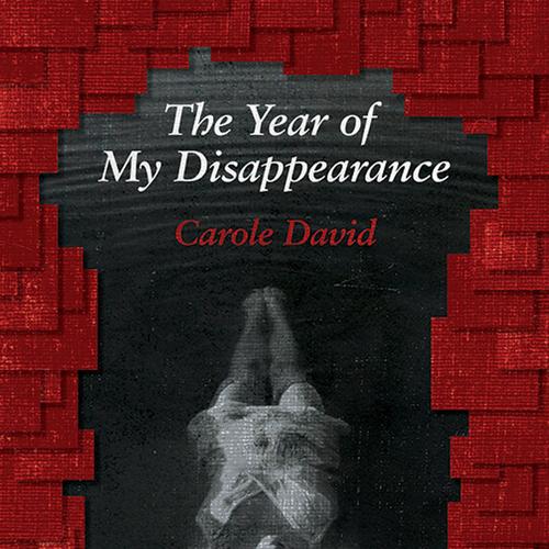 The Year of My Disappearance