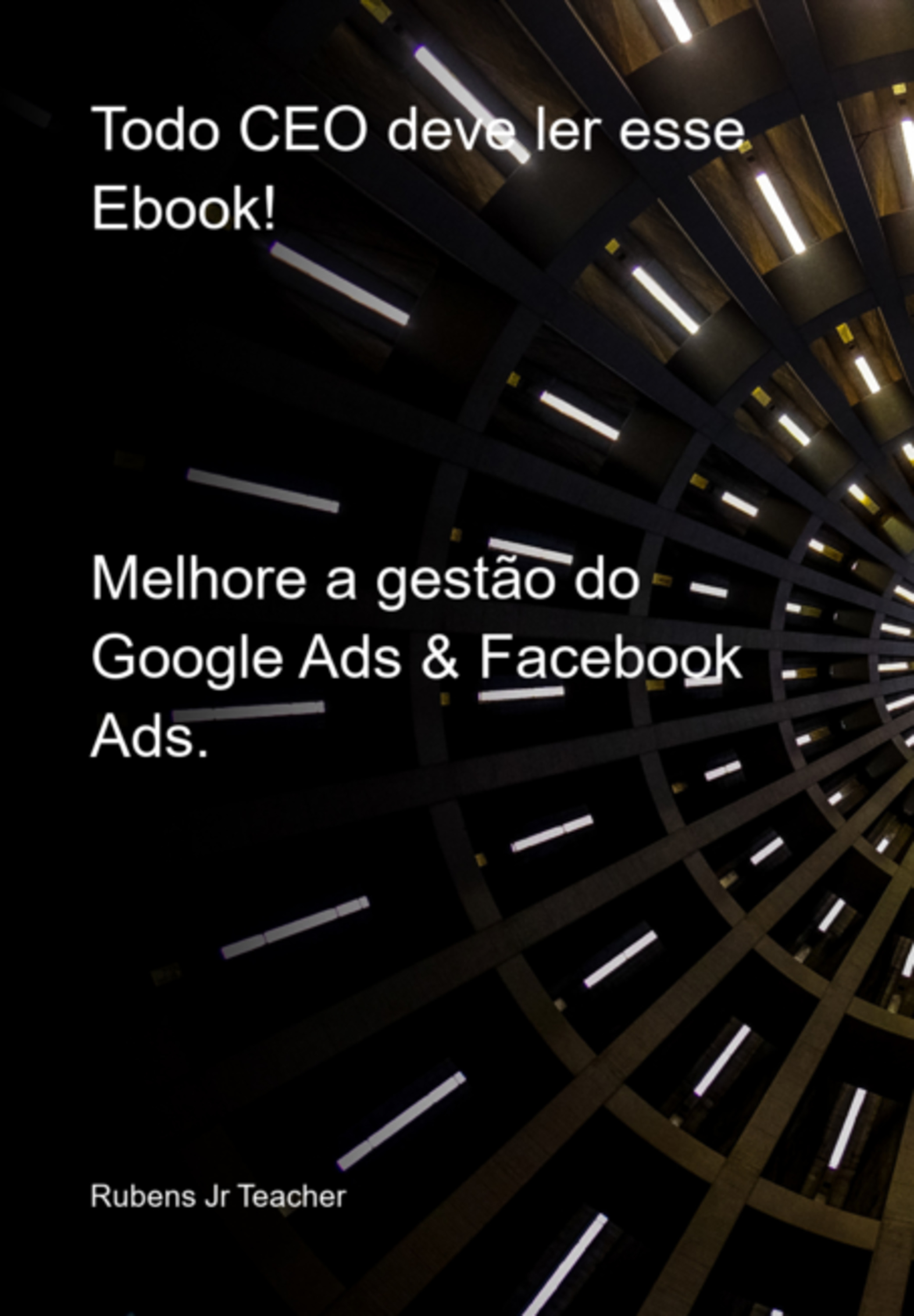 Todo Ceo Deve Ler Esse Ebook!