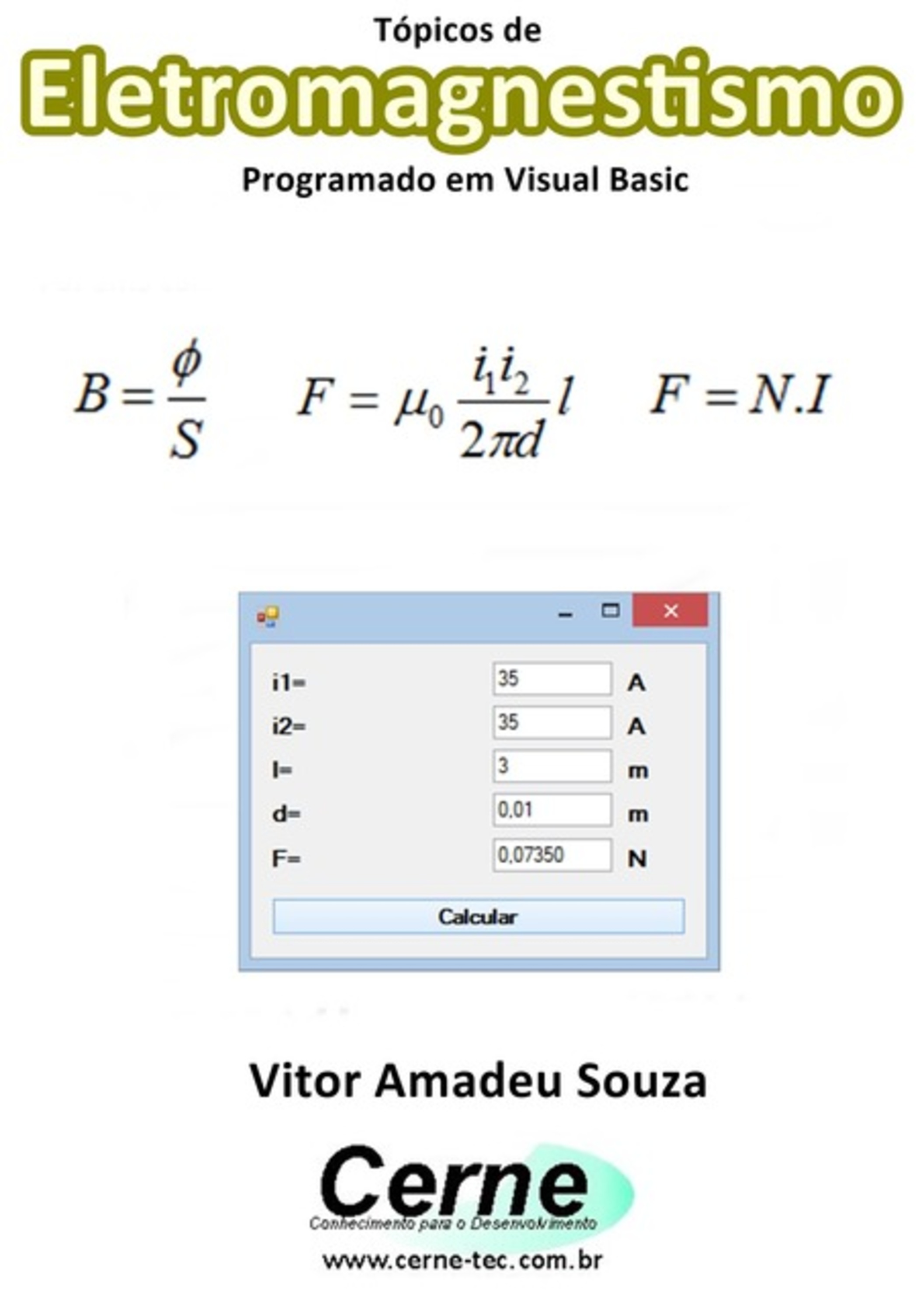 Tópicos De Eletromagnestismo Programado Em Visual Basic