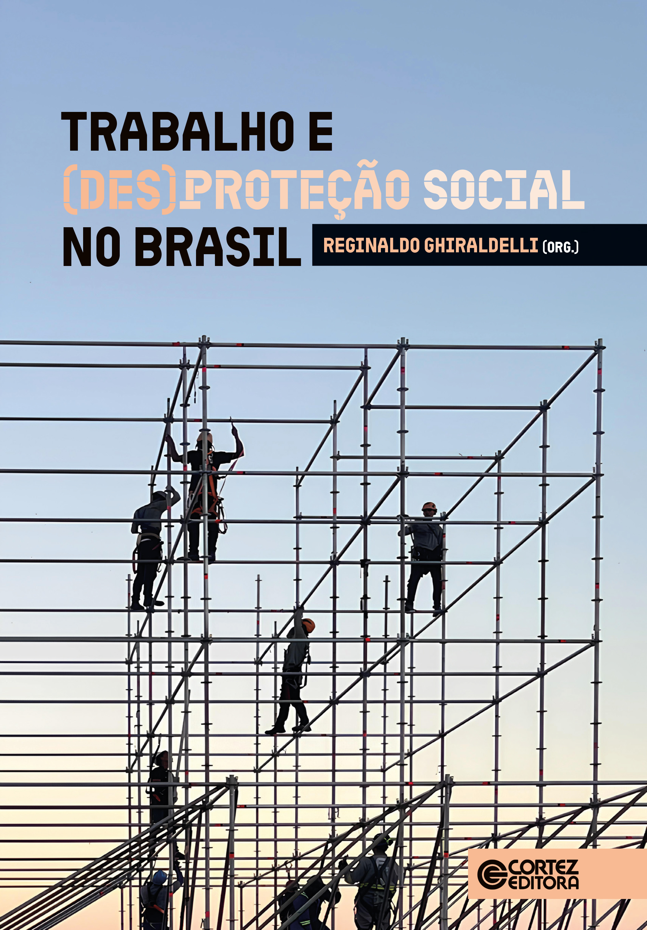 Trabalho e (des)proteção social no Brasil