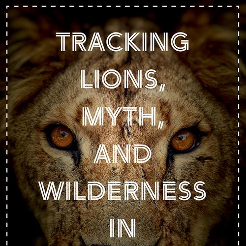 Tracking Lions, Myth, and Wilderness in Samburu