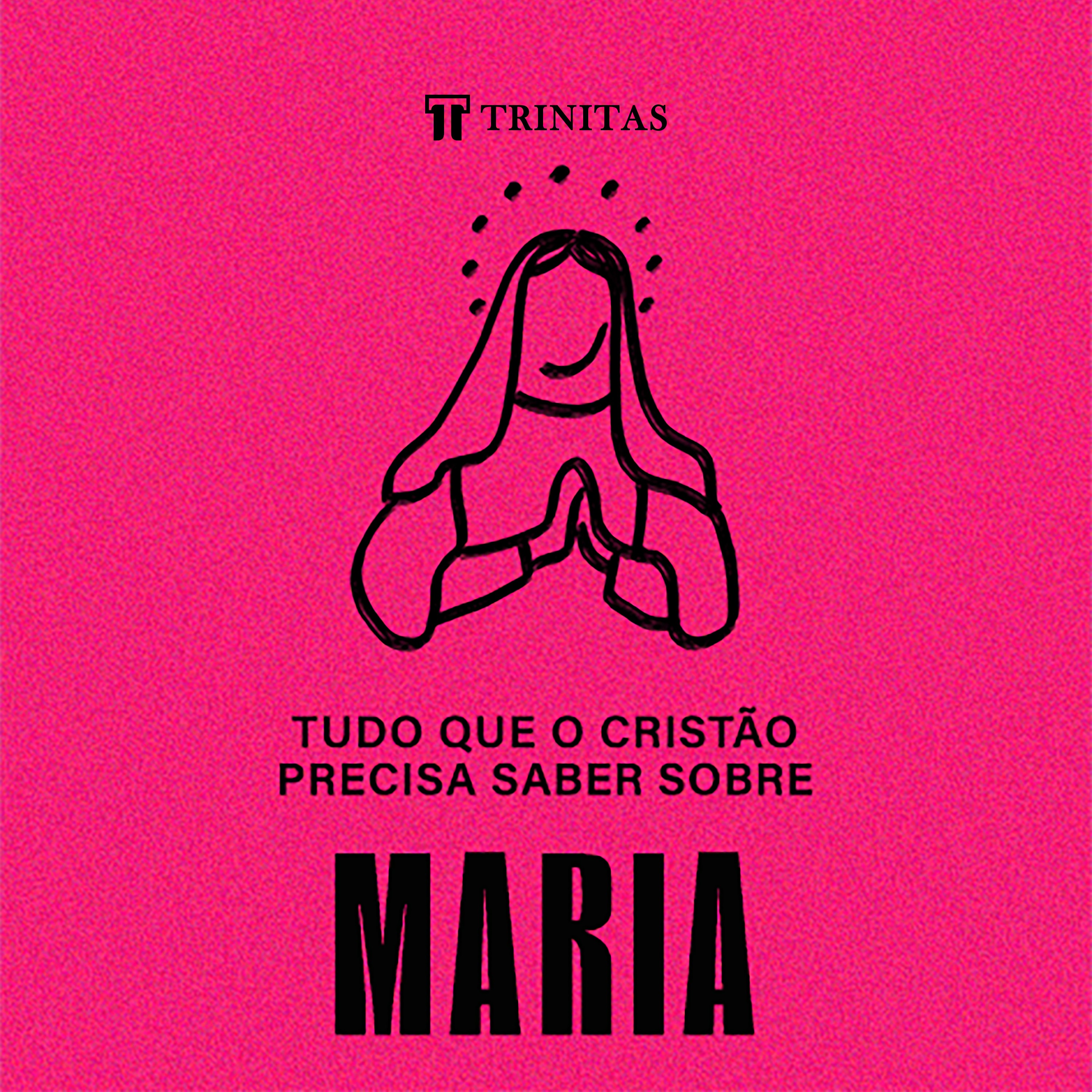 Tudo que o cristão precisa saber sobre Maria