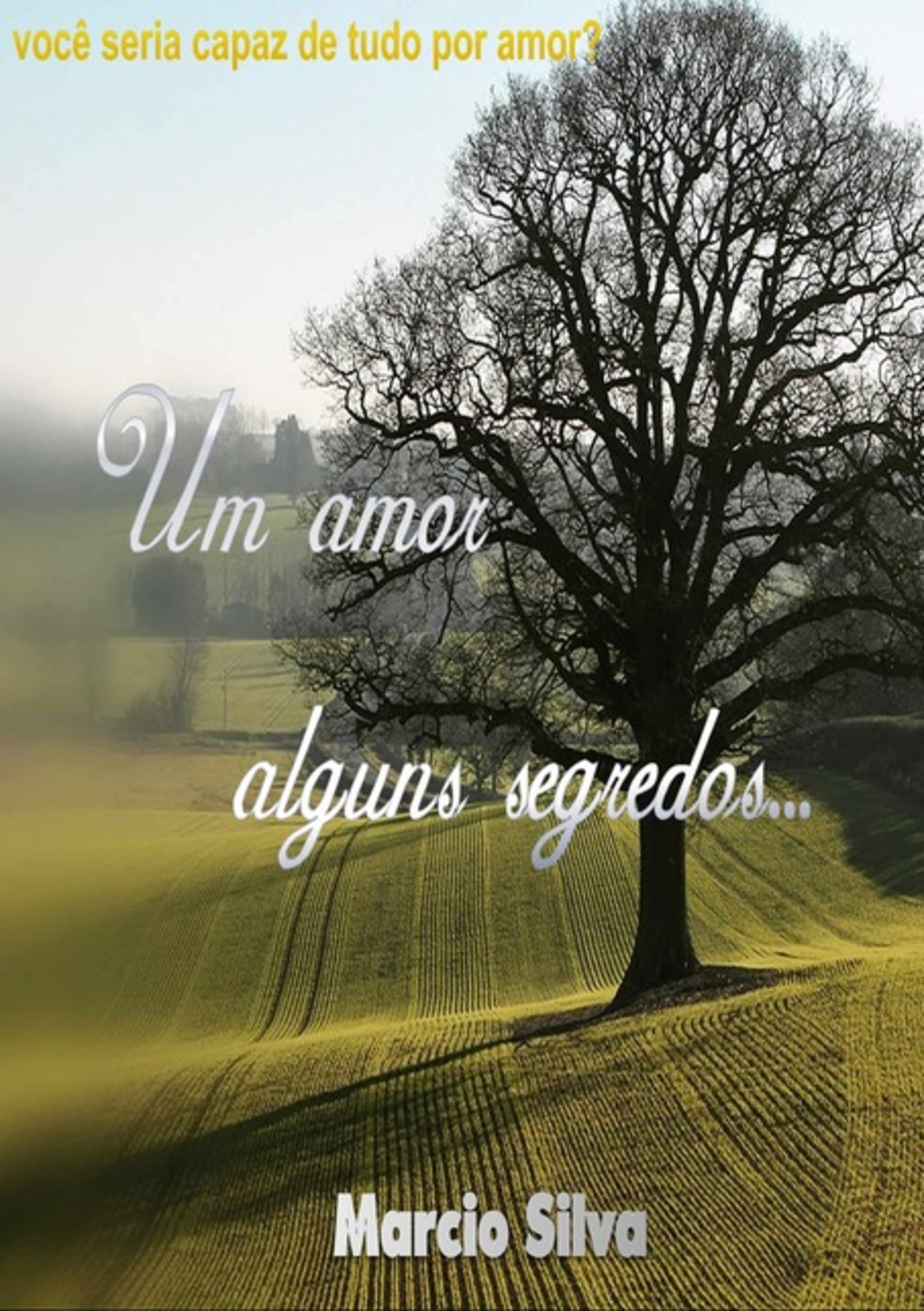 Um Amor - Alguns Segredos