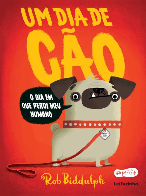 Um dia de cão