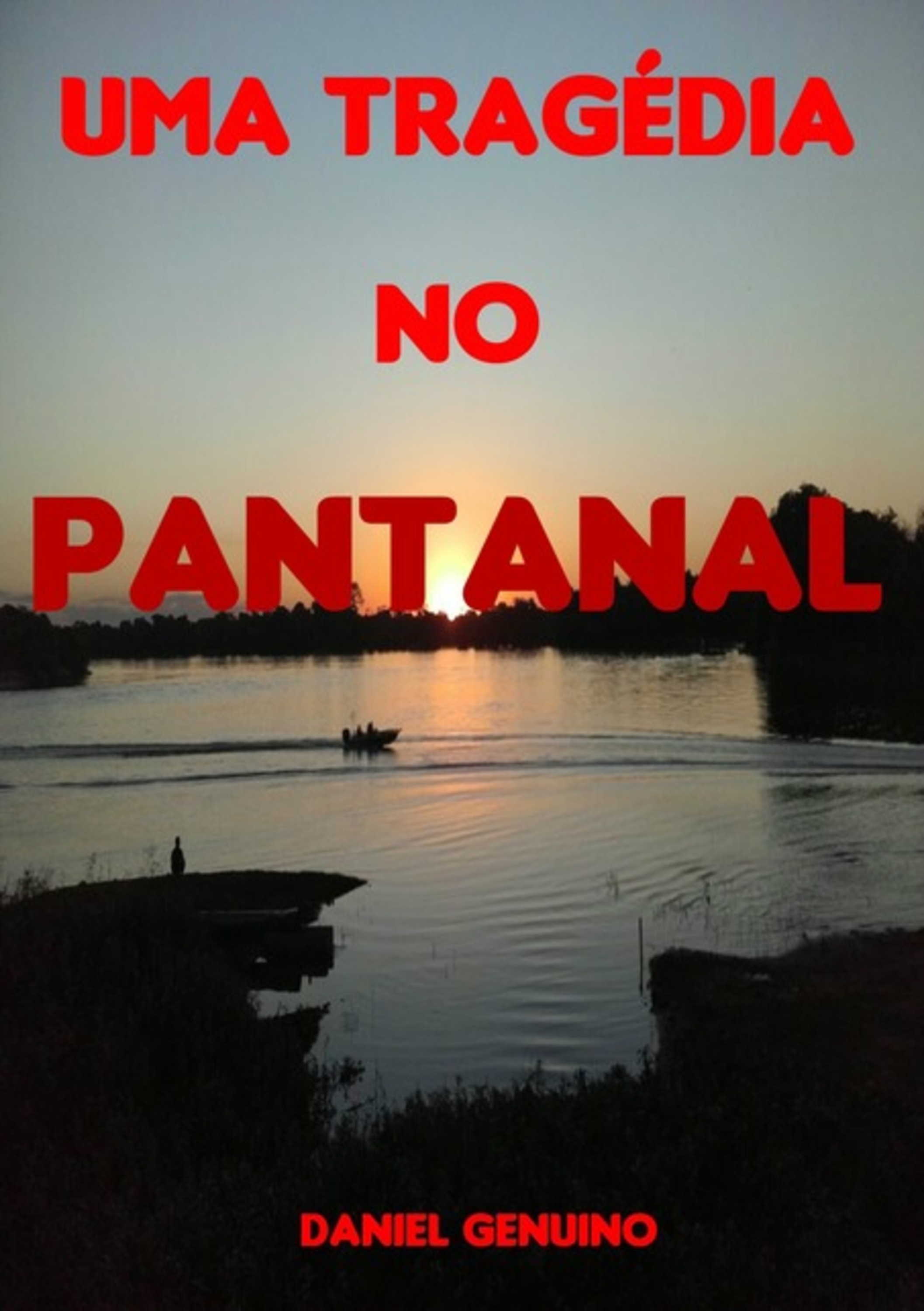 Uma Tragédia No Pantanal