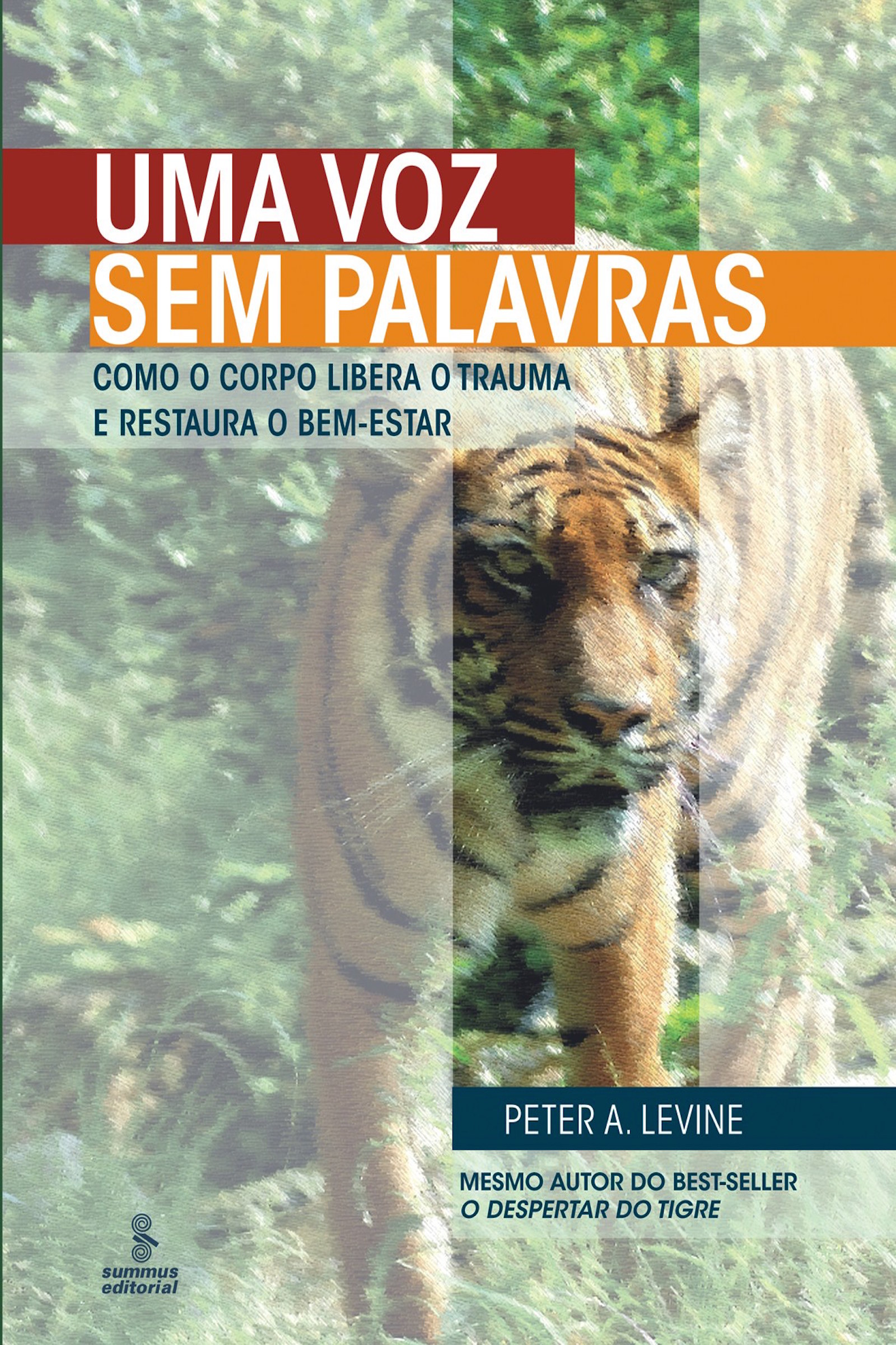 Uma voz sem palavras