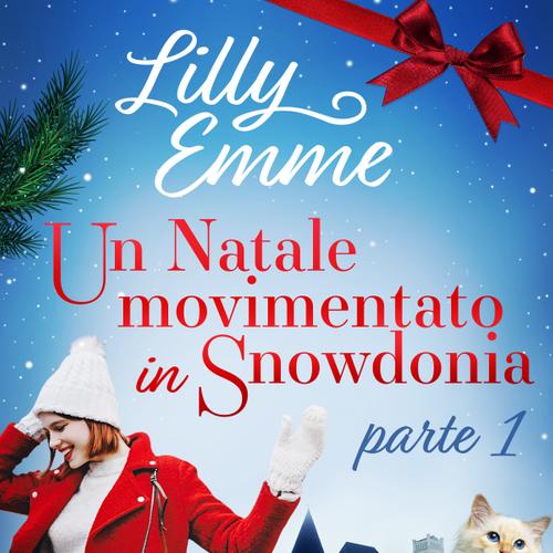 Un Natale movimentato in Snowdonia – parte 1