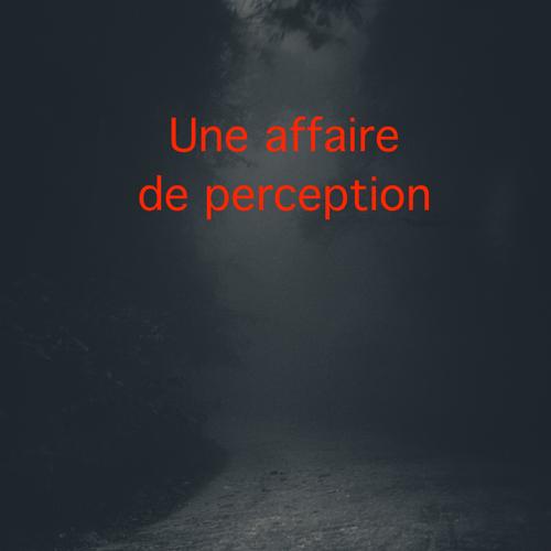 UNE AFFAIRE DE PERCEPTION