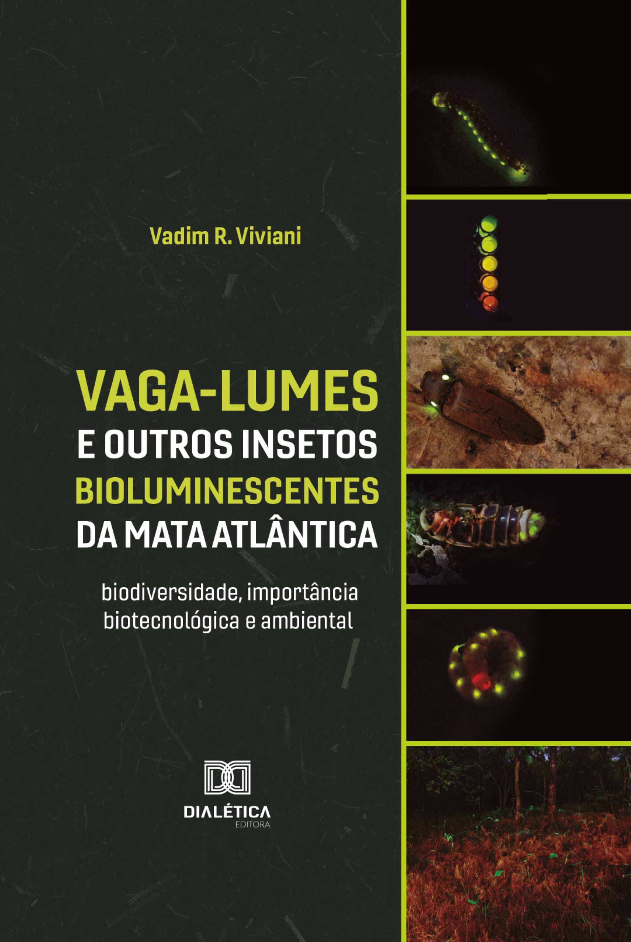 Vaga-lumes e outros insetos bioluminescentes da Mata Atlântica