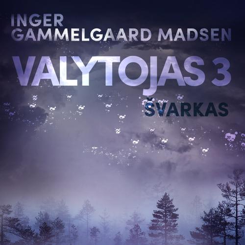 Valytojas 3: Švarkas