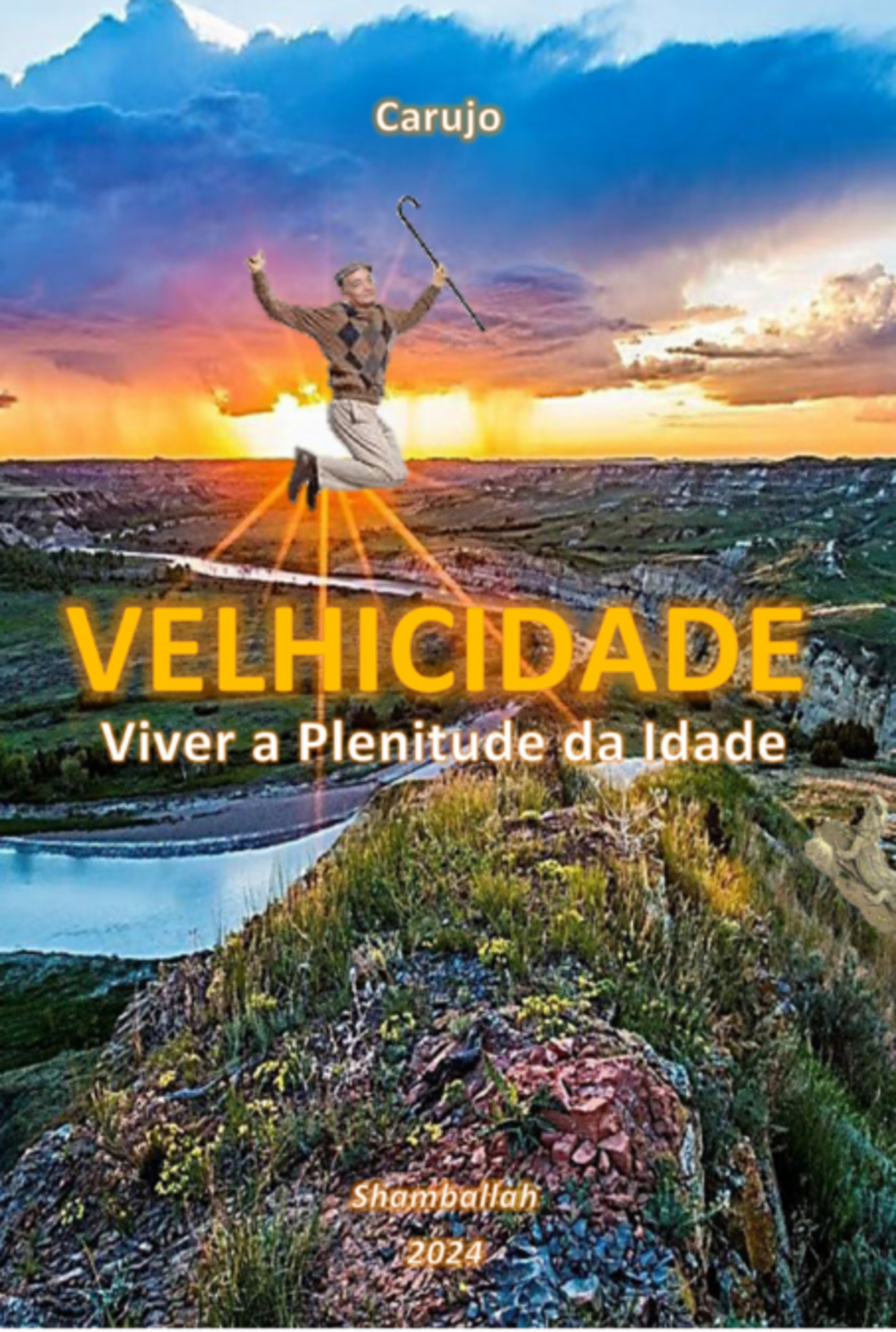 Velhicidade