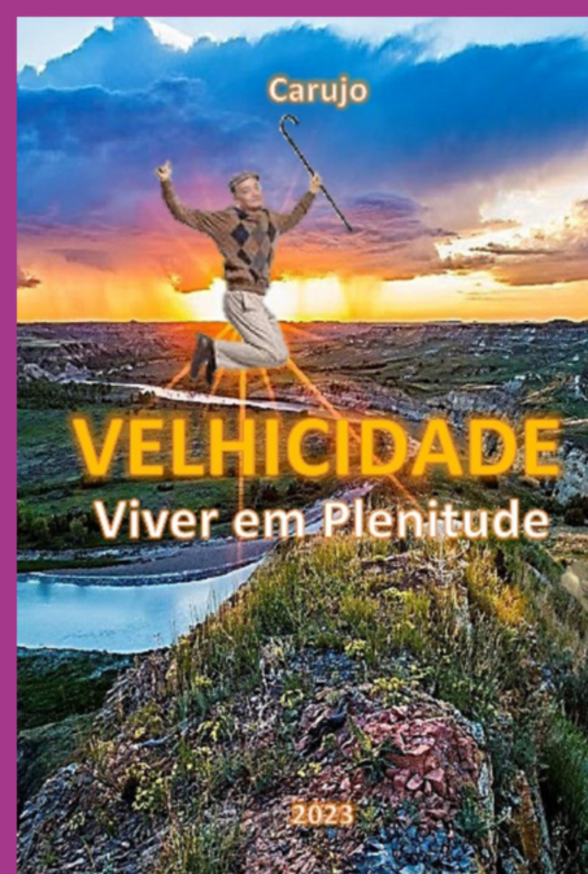 Velhicidade