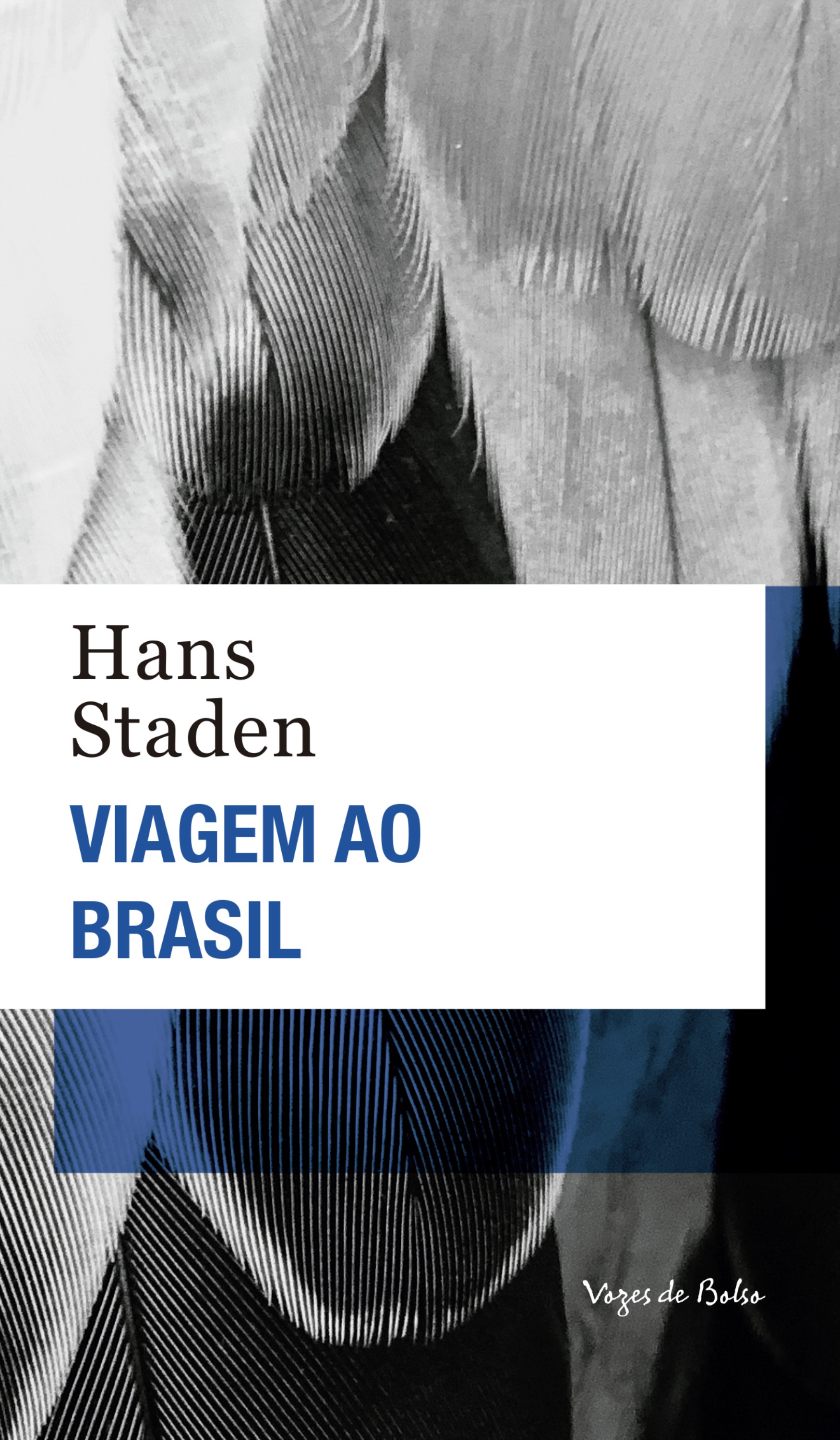 Viagem ao Brasil 