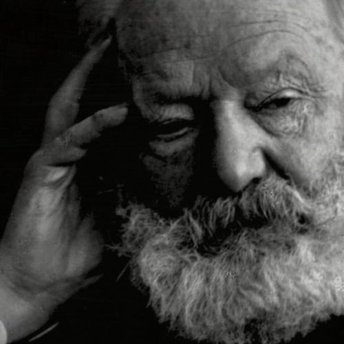 Victor Hugo: The Best Works