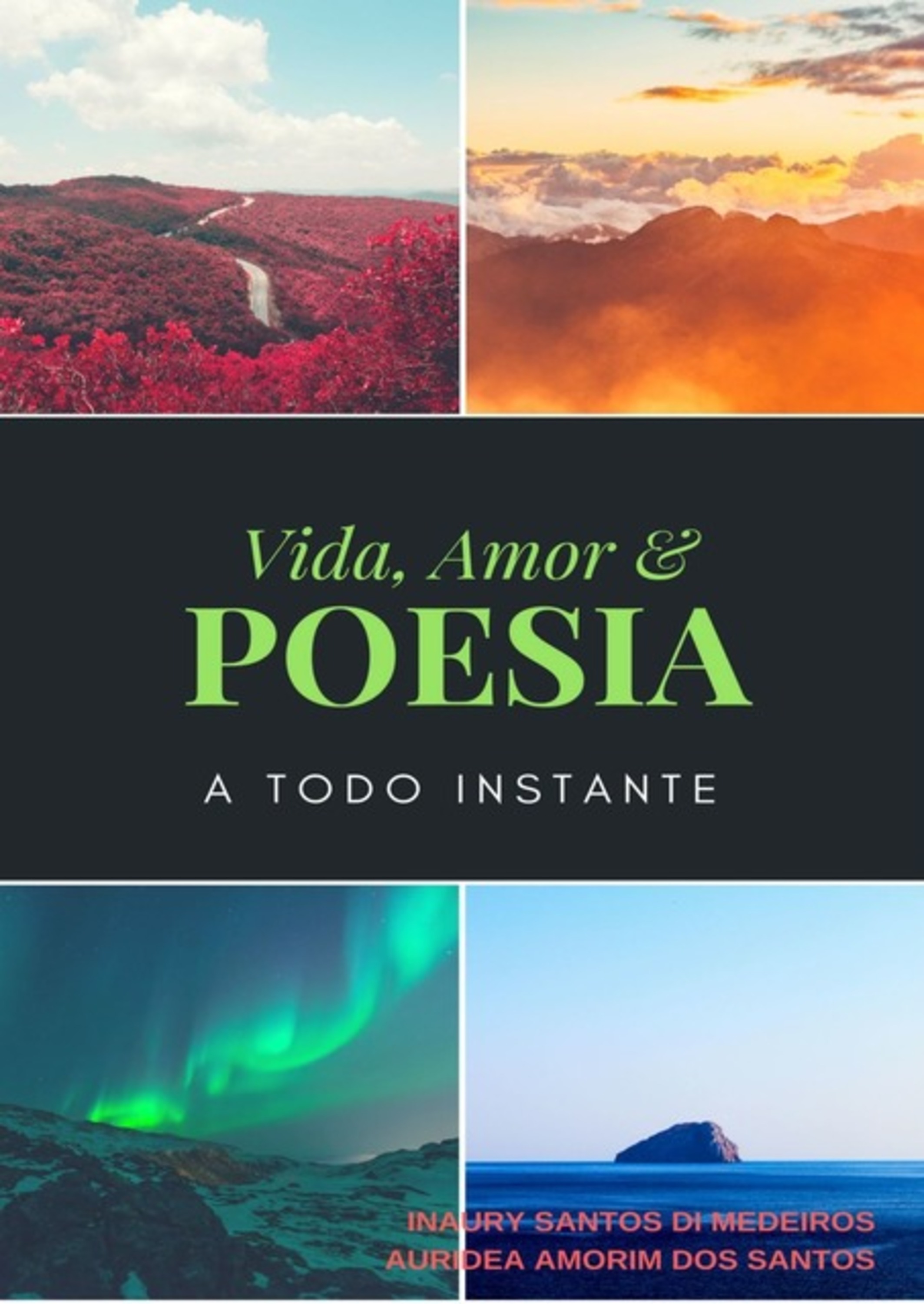 Vida, Amor & Poesia