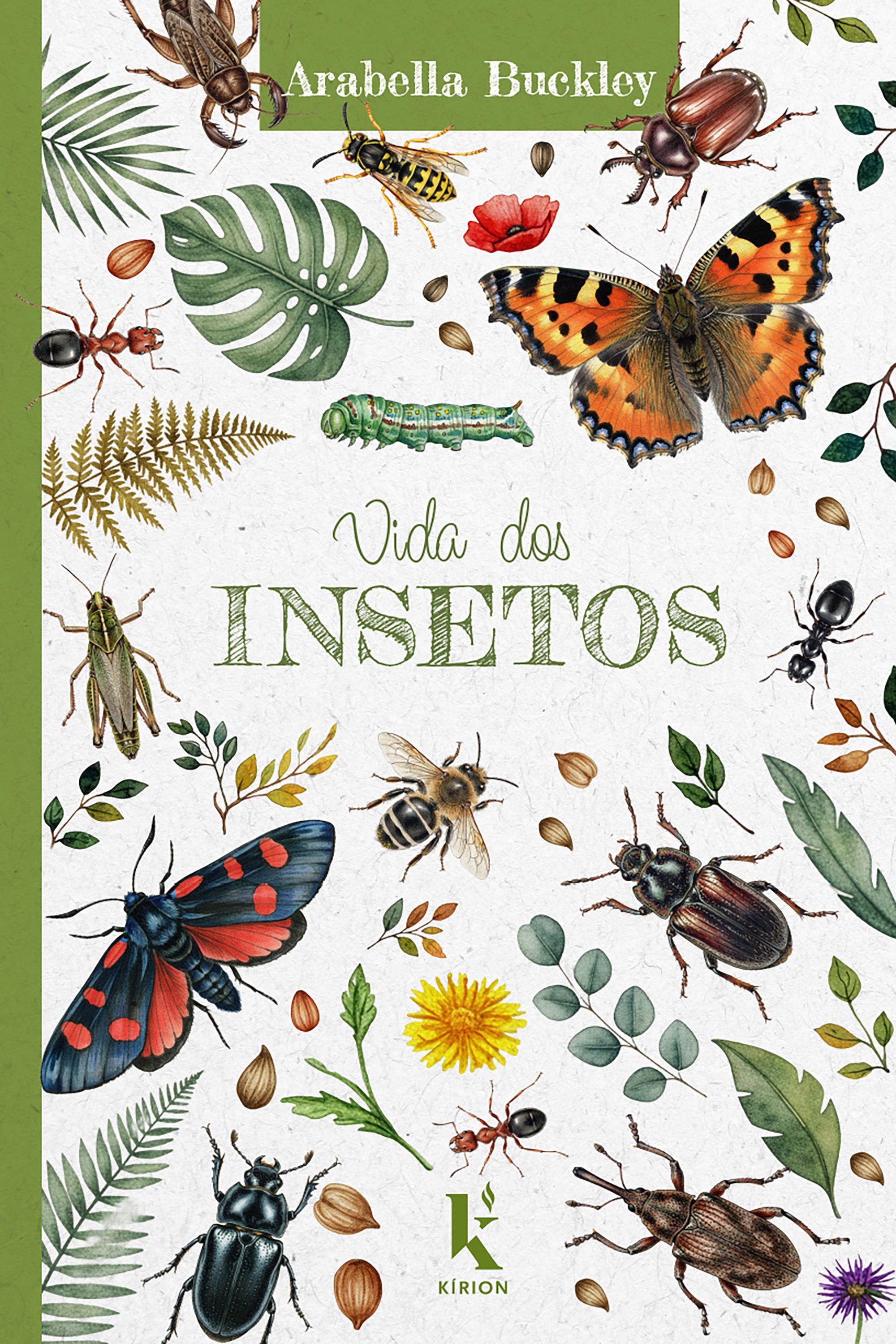 Vida dos insetos
