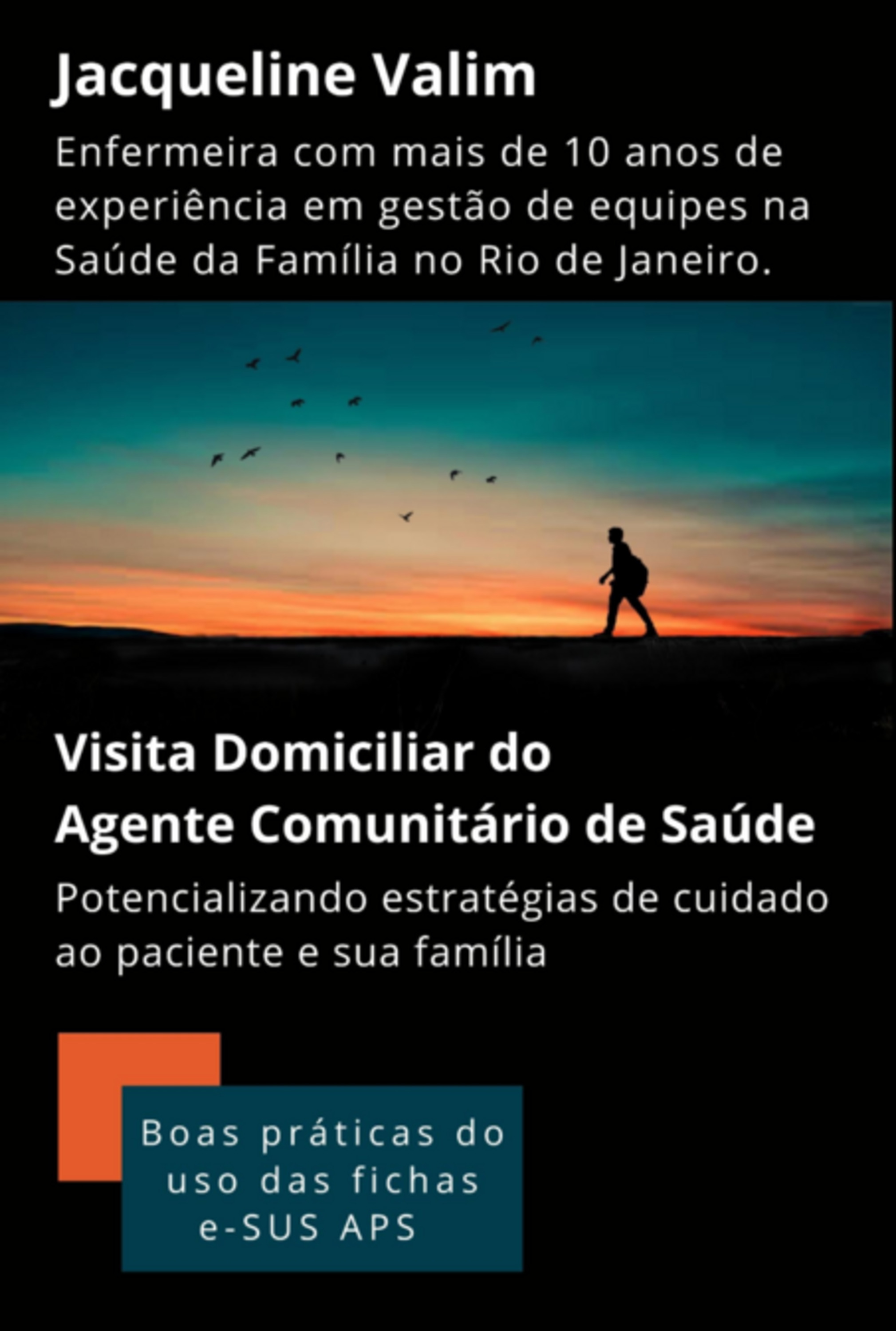 Visita Domiciliar Do Agente Comunitário De Saúde