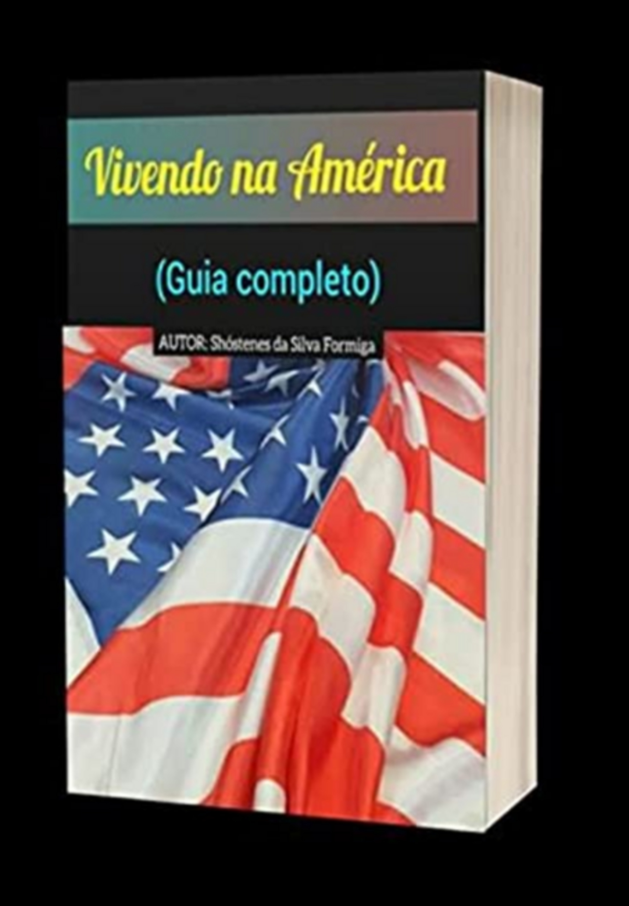 Vivendo Na América - Guia Completo