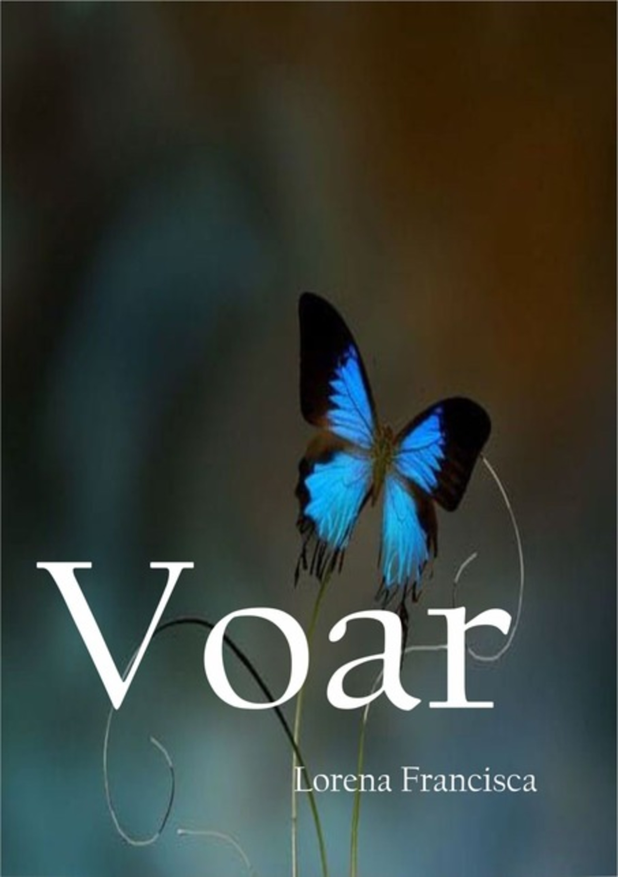 Voar