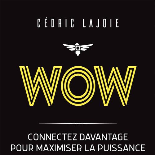 Wow : Connectez davantage pour maximiser la puissance de vos relations